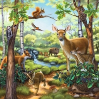 Bild von Puzzle - Wald-/Zoo-/Haustiere   3x 49 Teile