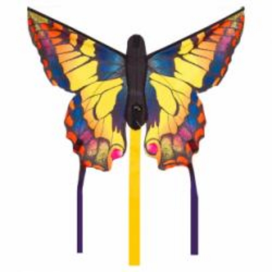 Bild von Drachen Butterfly Swallowtail R