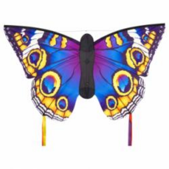 Bild von Drachen Butterfly Buckeye L