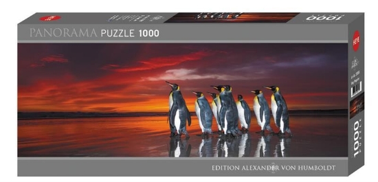 Bild von King Penguins Panorama 1000 Teile