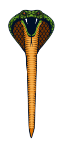 Bild von Einleiner-Drachen Cobra (Günther)