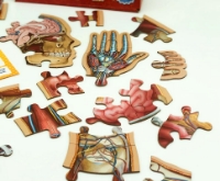 Bild von Junior-Anatomiepuzzle: Der Mensch (Leichtkraft)