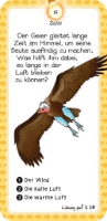 Bild von Das Quiz der Tiere (Moses Verlag)