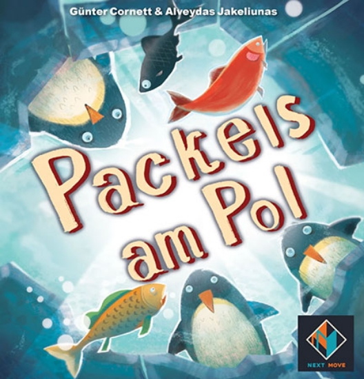 Bild von Packeis am Pol