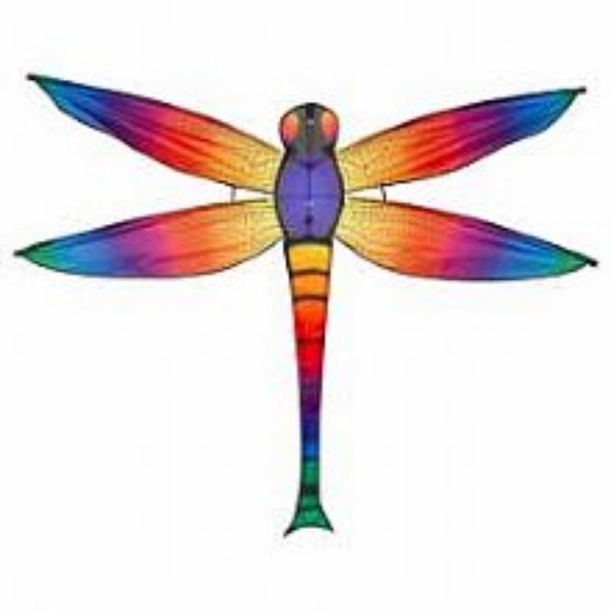 Bild von Drachen Dragonfly Kite