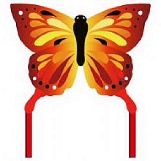 Bild von Drachen Ecoline Butterfly Sunrise Kite