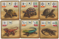 Bild von Reptile Tank