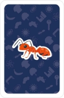 Bild von Size Matters!