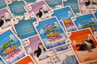 Bild von Flossen weg!