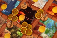 Bild von Toriki: Eine Insel voller Abenteuer