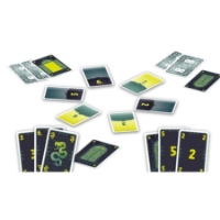 Bild von Falsche Schlangen