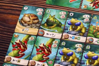 Bild von Froschreich 