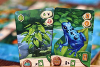 Bild von Froschreich 