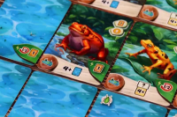 Bild von Froschreich 