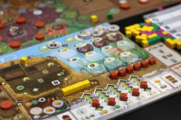 Bild von Ameisen von Amyra